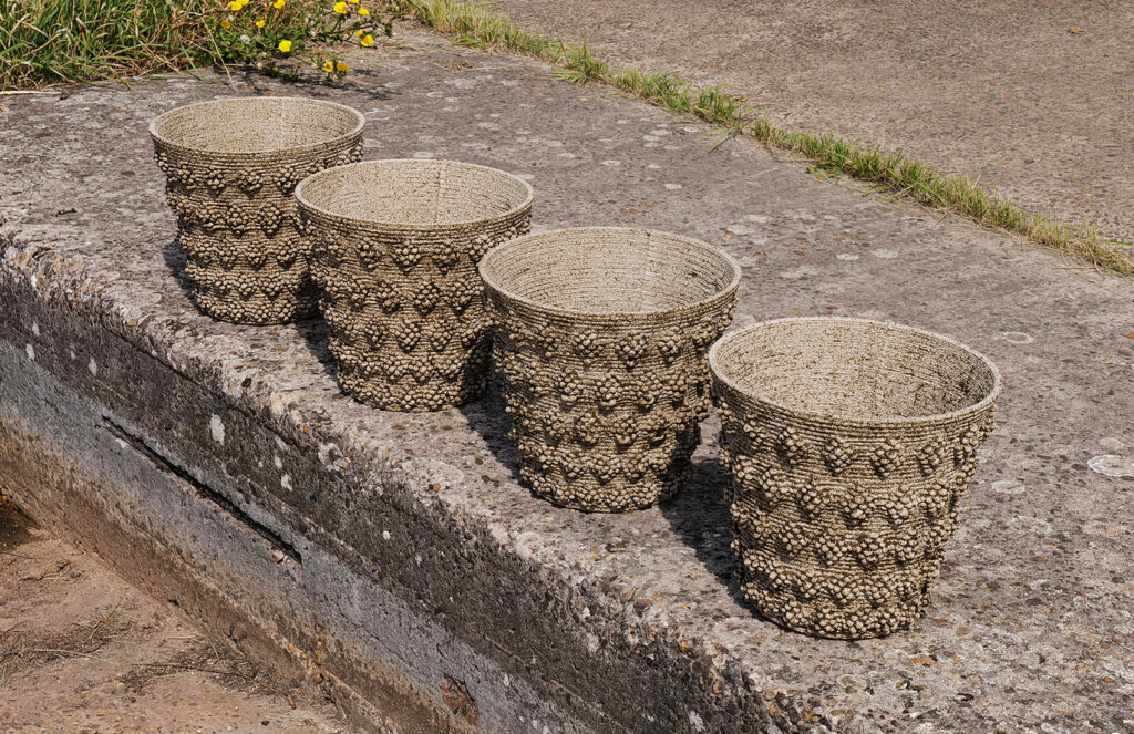 PhotosynthesisingFlowerpots_003