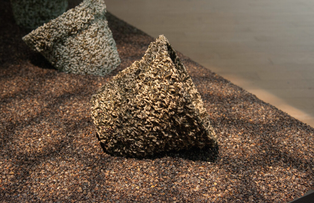 photosynthesisingFlowerpots06b