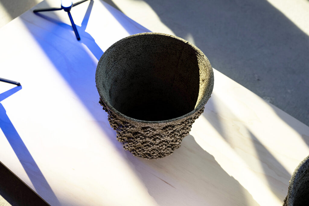 Photosynthesising Flowerpots